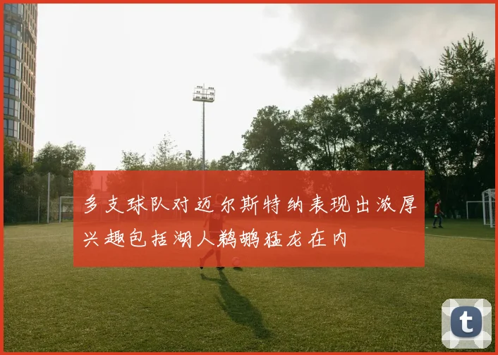 多支球队对迈尔斯特纳表现出浓厚兴趣包括湖人鹈鹕猛龙在内